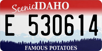 ID license plate E530614
