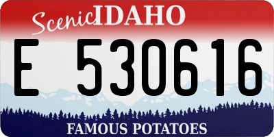 ID license plate E530616