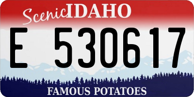 ID license plate E530617