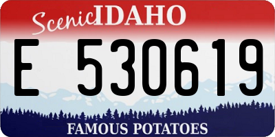 ID license plate E530619