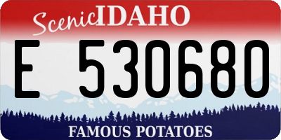 ID license plate E530680