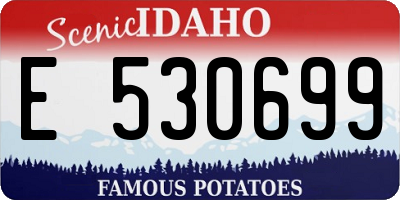 ID license plate E530699