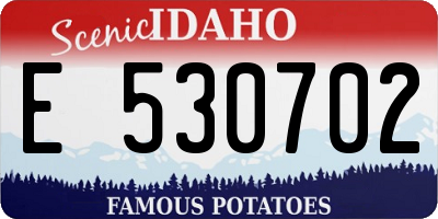 ID license plate E530702