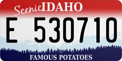 ID license plate E530710