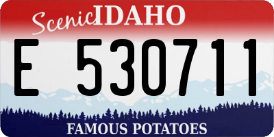 ID license plate E530711