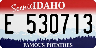 ID license plate E530713