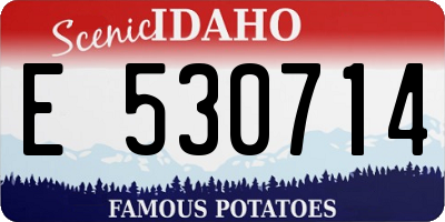 ID license plate E530714