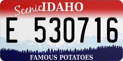ID license plate E530716