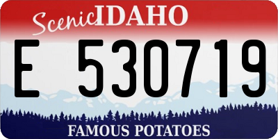 ID license plate E530719