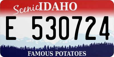 ID license plate E530724