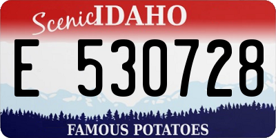 ID license plate E530728