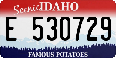 ID license plate E530729