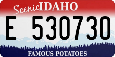 ID license plate E530730
