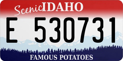 ID license plate E530731