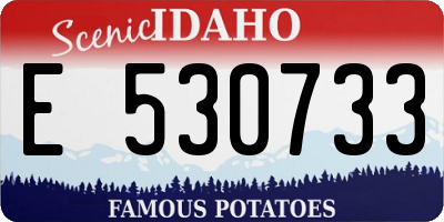 ID license plate E530733
