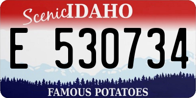 ID license plate E530734