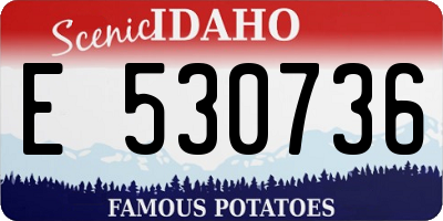 ID license plate E530736