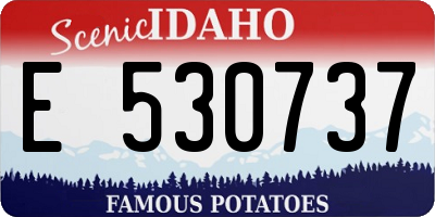 ID license plate E530737