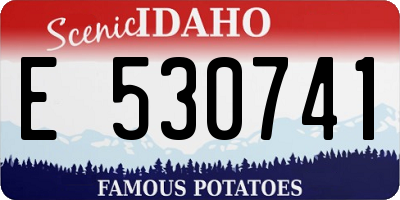 ID license plate E530741