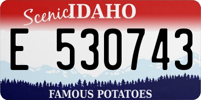 ID license plate E530743