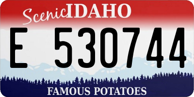 ID license plate E530744
