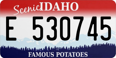 ID license plate E530745