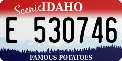 ID license plate E530746