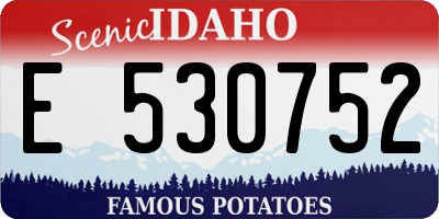ID license plate E530752