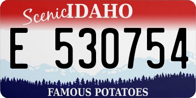 ID license plate E530754