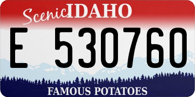 ID license plate E530760