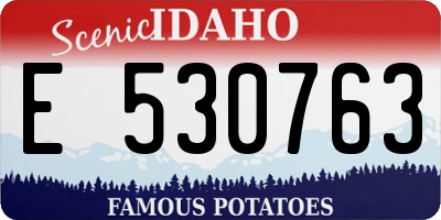 ID license plate E530763