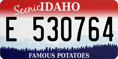 ID license plate E530764