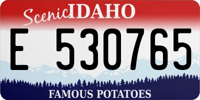 ID license plate E530765