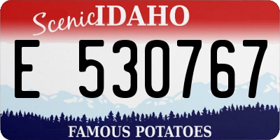 ID license plate E530767