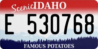 ID license plate E530768