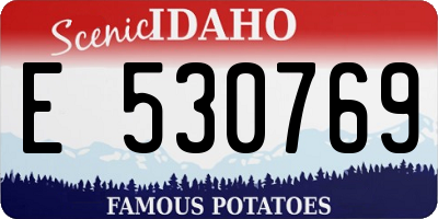 ID license plate E530769