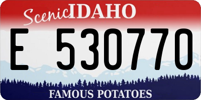 ID license plate E530770