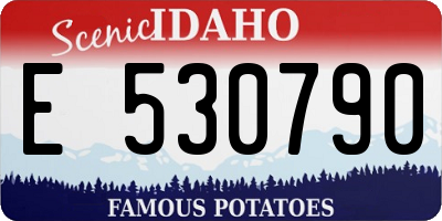 ID license plate E530790