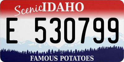 ID license plate E530799