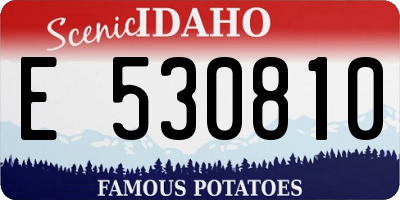 ID license plate E530810