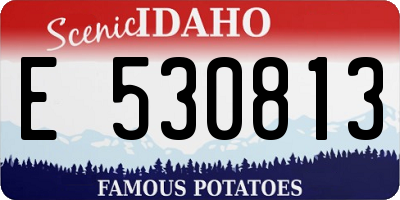 ID license plate E530813