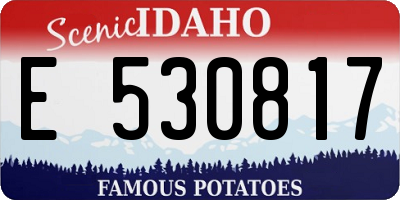 ID license plate E530817
