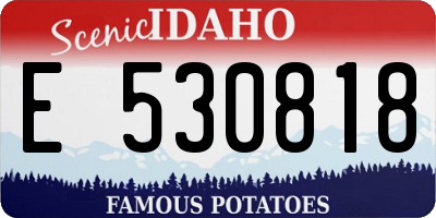 ID license plate E530818