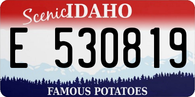 ID license plate E530819
