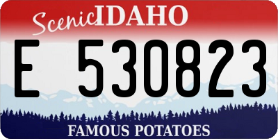 ID license plate E530823