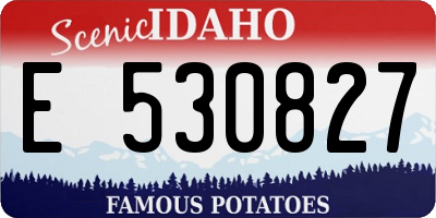 ID license plate E530827