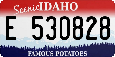 ID license plate E530828