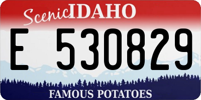 ID license plate E530829
