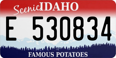 ID license plate E530834