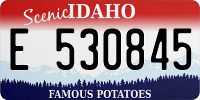 ID license plate E530845
